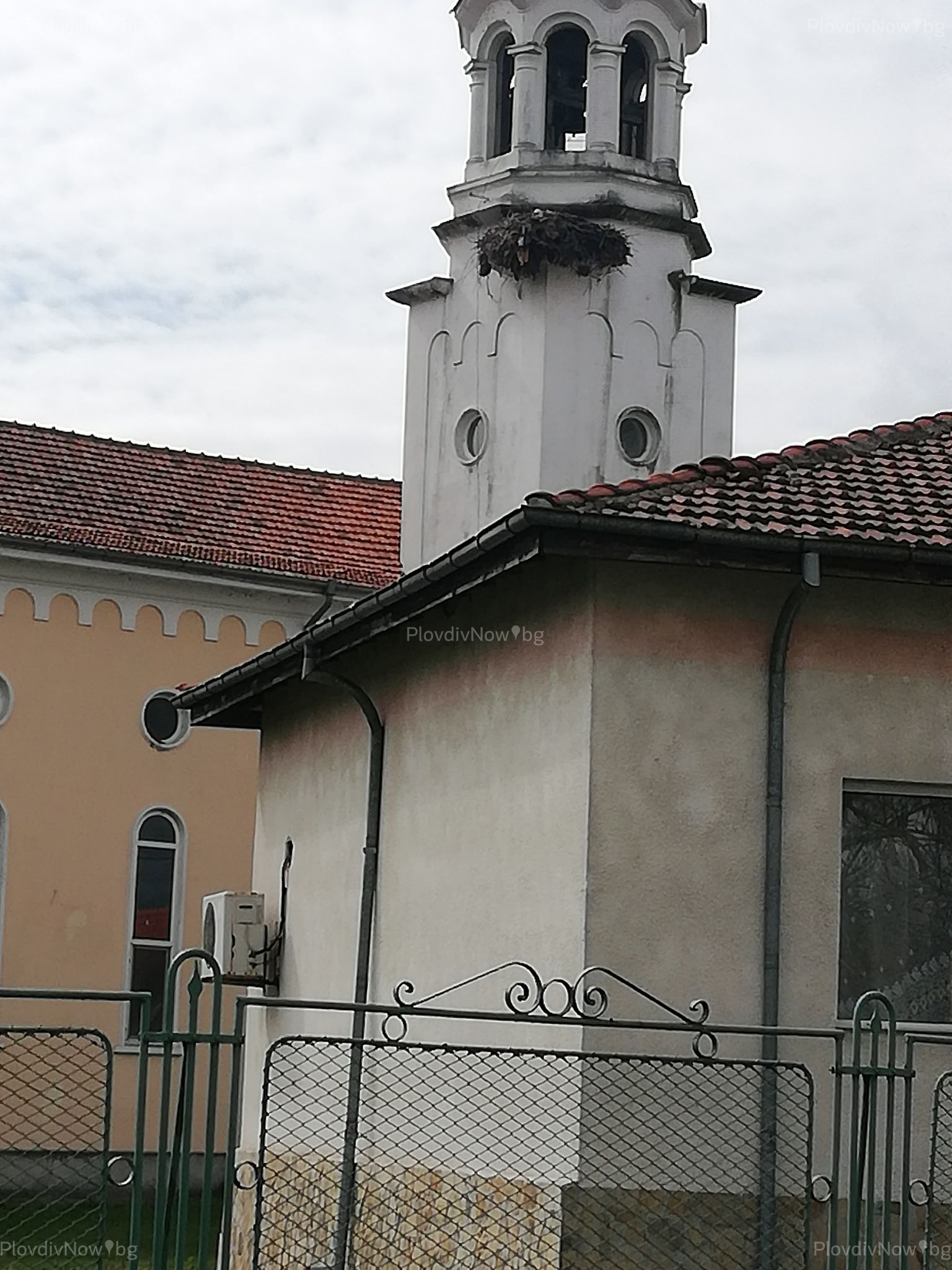 Първите щъркели започнаха да пристигат в България :: Еко Новини.BG ...